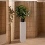 Planta Decorativa 50 X 50 X 70 CM de BigBuy Home, Plantas - Ref: S8806712, Preço: 31,28 €, Desconto: %