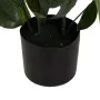 Decorative Plant 50 X 50 X 70 CM by BigBuy Home, Artificial Plants - Ref: S8806712, Price: 31,28 €, Discount: %