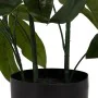 Planta Decorativa 50 X 50 X 70 CM de BigBuy Home, Plantas - Ref: S8806712, Preço: 31,28 €, Desconto: %