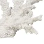 Decorative Figure White Resin Coral 34 X 13 X 27 CM by BigBuy Home, Ornaments - Ref: S8806831, Price: 34,94 €, Discount: %