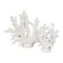 Decorative Figure White Resin Coral 34 X 13 X 27 CM by BigBuy Home, Ornaments - Ref: S8806831, Price: 34,94 €, Discount: %