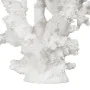 Figura Decorativa Branco Resina Coral 17 x 17 x 20 cm de BigBuy Home, Adornos - Ref: S8806832, Preço: 18,86 €, Desconto: %