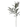 Decorative Plant PEVA 30 X 25 X 72 CM by BigBuy Home, Artificial Plants - Ref: S8806840, Price: 5,36 €, Discount: %