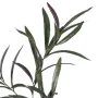 Decorative Plant PEVA 30 X 25 X 72 CM by BigBuy Home, Artificial Plants - Ref: S8806840, Price: 5,36 €, Discount: %