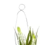 Decorative Plant Polyester Polyethylene Iron 7 x 7 x 18 cm by BigBuy Home, Artificial Plants - Ref: S8806853, Price: 4,92 €, ...