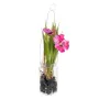 Decorative Plant Polyester Polyethylene Iron 7 x 7 x 18 cm by BigBuy Home, Artificial Plants - Ref: S8806855, Price: 5,19 €, ...