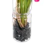 Plante décorative Polyester Polyéthylène Fer 7 x 7 x 18 cm de BigBuy Home, Plantes artificielles - Réf : S8806855, Prix : 5,1...