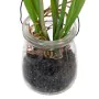 Plante décorative Polyester Polyéthylène Fer 5,5 X 5,5 X 21 CM de BigBuy Home, Plantes artificielles - Réf : S8806860, Prix :...