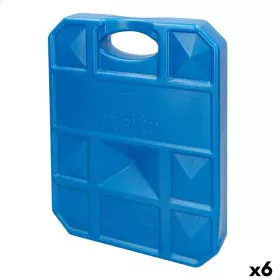 Pain de glace Aktive Bleu 2 Kg 22 x 27,5 x 4 cm (6 Unités) de Aktive, Accessoires pour glacière - Réf : S8902901, Prix : 28,0...