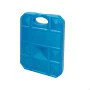 Acumulador de Frío Aktive Azul 750 ml 16 x 20 x 3,2 cm (12 Unidades) de Aktive, Accesorios de neveras - Ref: S8902903, Precio...