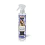 Eliminatore di odori Certech 16687 Antimacchia 250 ml di Certech, Elimina odori e smacchiatore - Rif: S9109963, Prezzo: 3,51 ...