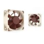 Ventilador de Caixa Noctua NF-A6X25 PWM 5V Ø 6 cm (1 Unidade) de Noctua, Ventilação e refrigeração - Ref: S91104583, Preço: 2...