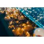 Wreath of LED Lights Twinkly CLUSTER Christmas Black 6 m by Twinkly, Christmas - Ref: S91104839, Price: 206,68 €, Discount: %