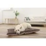 Cat Bed Kerbl 80464 Beige Bronze by Kerbl, Beds and sofas - Ref: S91106783, Price: 45,51 €, Discount: %