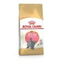 Aliments pour chat Royal Canin British Shorthair Kitten Adulte Poulet Oiseaux 400 g de Royal Canin, Sèche - Réf : S9111202, P...