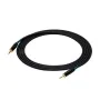 Audio Jack Cable (3.5mm) Sound station quality (SSQ) SS-1425 Black 2 m by Sound station quality (SSQ), Cables - Ref: S9120778...