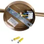 Ceiling Light Activejet AJE-SPECTRA 2P Gold Golden Metal 40 W by Activejet, Ceiling Lights - Ref: S9121658, Price: 33,48 €, D...