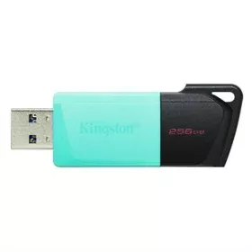 USB Pendrive Kingston Exodia M Schwarz 256 GB (1 Stück) von Kingston, USB-Flash-Laufwerke - Ref: S9122473, Preis: 18,42 €, Ra...