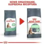 Aliments pour chat Royal Canin Digestive Care Poisson Adulte Riz Légumes Oiseaux 10 kg de Royal Canin, Sèche - Réf : S9130113...