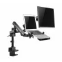 Screen Table Support GEMBIRD MA-DA3-02 17" 32" by GEMBIRD, Monitor Arms & Stands - Ref: S9145387, Price: 78,42 €, Discount: %