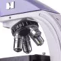 Microscopio Magus BIO 230BL de Magus, Ciencia - Ref: S9172338, Precio: 837,60 €, Descuento: %