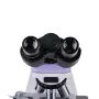 Microscopio Magus BIO 230BL de Magus, Ciencia - Ref: S9172338, Precio: 837,60 €, Descuento: %