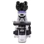 Microscopio Magus BIO 250B de Magus, Ciencia - Ref: S9172341, Precio: 1,00 €, Descuento: %