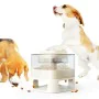 Ciotola per cani Doggy Village Auto-Buffet Bianco ABS 50 x 28 x 50 cm di Doggy Village, Piatti da viaggio - Rif: S9183171, Pr...