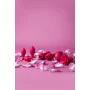 Plug Anal Secret Kisses Rouge de Secret Kisses, Plugs anals - Réf : S9400150, Prix : 29,17 €, Remise : %