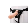 Strap-On Dildo Dream Toys RealStuff by Dream Toys, Dildos with harnesses - Ref: S9400482, Price: 23,75 €, Discount: %