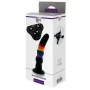 Consolador con arnés Dream Toys Colourful Love de Dream Toys, Dildos con arnés - Ref: S9400497, Precio: 24,01 €, Descuento: %