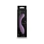 Vibrator NS Novelties Desire Purple by NS Novelties, Classic vibrators - Ref: S9401570, Price: 17,09 €, Discount: %