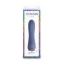 Mini Vibrador NS Novelties Charms Fern Gray Cinzento de NS Novelties, Bolas e ovos vibradores - Ref: S9401671, Preço: 27,41 €...