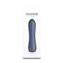 Mini Vibrator NS Novelties Charms Fern Gray Grau von NS Novelties, Bullet-Vibratoren & Vibrationseier - Ref: S9401671, Preis:...