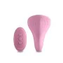 Vibrator NS Novelties Desire Blue Pink by NS Novelties, Classic vibrators - Ref: S9401694, Price: 32,69 €, Discount: %