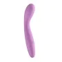 Vibrador Punto G NS Novelties Desire Rosa de NS Novelties, Vibradores Punto G - Ref: S9401698, Precio: 29,09 €, Descuento: %