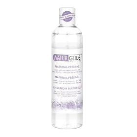 Lubricant Waterglide 300 ml by Waterglide, Lubricants & Licks - Ref: S9401823, Price: 6,45 €, Discount: %