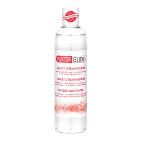 Lubricant Waterglide Strawberry 300 ml by Waterglide, Lubricants & Licks - Ref: S9401825, Price: 6,45 €, Discount: %