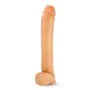 Dildo Realista Blush Hung Rider PVC Ø 6,1 cm (29,2 cm) de Blush, Consoladores realistas - Ref: S9401894, Preço: 25,89 €, Desc...