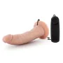 Dildo Realista Blush Dr Skin PVC Ø 4,1 cm (17,7 cm) de Blush, Consoladores realistas - Ref: S9402220, Preço: 19,38 €, Descont...