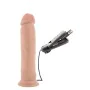 Natürliches Dildo Blush Dr Skin PVC Ø 5 cm (21,5 cm) von Blush, Realistische Dildos - Ref: S9402221, Preis: 21,32 €, Rabatt: %