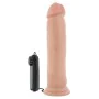 Dildo Realista Blush Dr Skin PVC Ø 5 cm (21,5 cm) de Blush, Consoladores realistas - Ref: S9402221, Preço: 21,32 €, Desconto: %