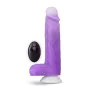 Dildo Realista Blush Neo Silicone Ø 4 cm (16,5 cm) de Blush, Consoladores realistas - Ref: S9402249, Preço: 65,18 €, Desconto: %