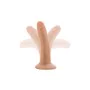 Dildo Realistico Blush Dr Skin TPE Ø 3,1 cm (12,7 cm) di Blush, Dildo realistici - Rif: S9402293, Prezzo: 13,33 €, Sconto: %