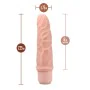 Gode réaliste Blush Dr Skin Silicone ABS Ø 4,3 cm (15,2 cm) (19 cm) de Blush, Consolateurs réalistes - Réf : S9402405, Prix :...