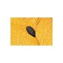 Masajeador Le Wand Negro de Le Wand, Masajeadores - Ref: S9402859, Precio: 84,19 €, Descuento: %