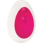 Vibromasseur à boules Evolved Rose de Evolved, Oeufs vibrants - Réf : S9404536, Prix : 16,63 €, Remise : %