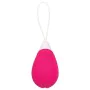 Bala Vibradora Evolved Cor de Rosa de Evolved, Bolas e ovos vibradores - Ref: S9404536, Preço: 17,32 €, Desconto: %