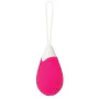 Vibromasseur à boules Evolved Rose de Evolved, Oeufs vibrants - Réf : S9404536, Prix : 16,63 €, Remise : %