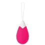 Vibromasseur à boules Evolved Rose de Evolved, Oeufs vibrants - Réf : S9404536, Prix : 16,63 €, Remise : %